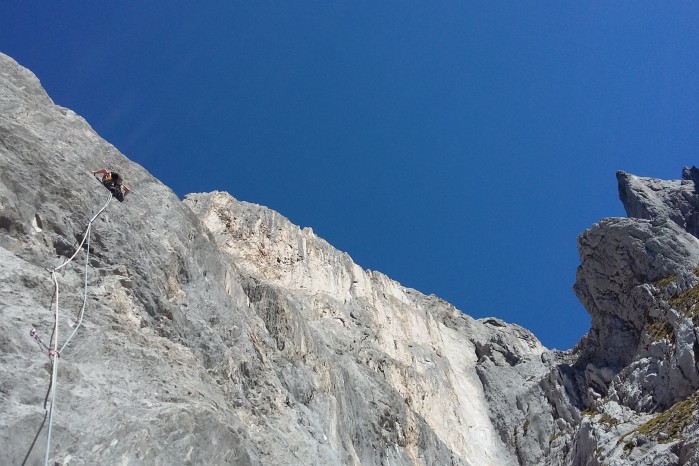 Hofnarr,Thronfolger,Scala