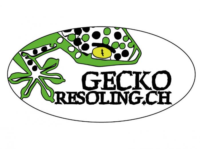 Gecko Resoling